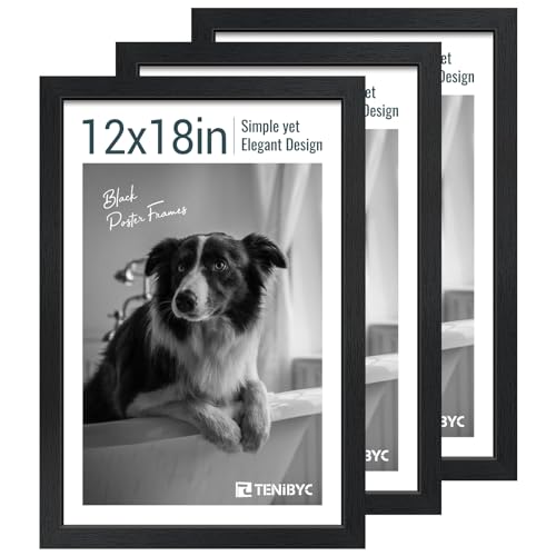 12x18 Poster Frame 3 Pack (3 Count)