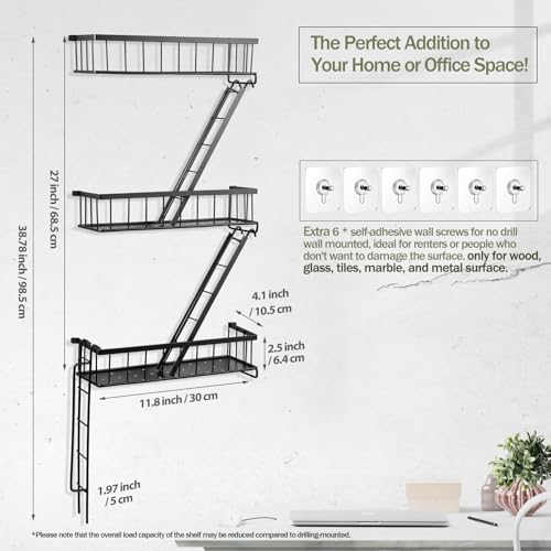 Fire Escape Wall Shelf
