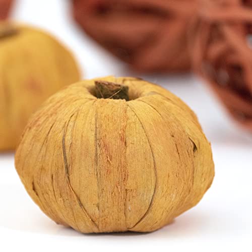 Orange Decorative Vase Filler Bag with Mini Pumpkins