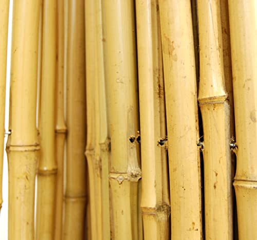 Natural Bamboo Fencing Decorative Rolled Fence Panel 0.75 in D x 6 ft H x 8 ft L (48 Sq Ft)
