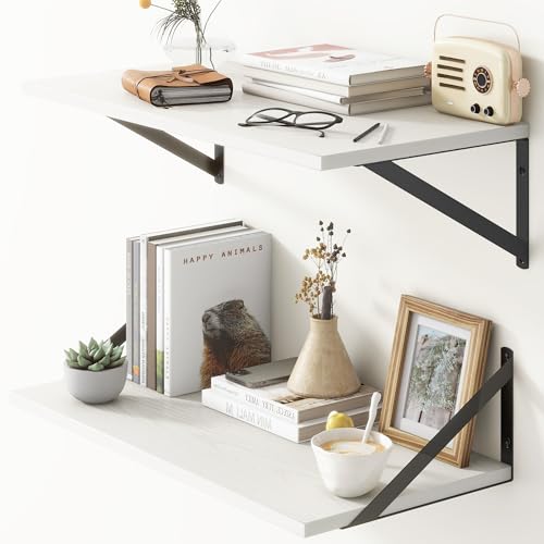 Deep Floating Shelves (2 Count)
