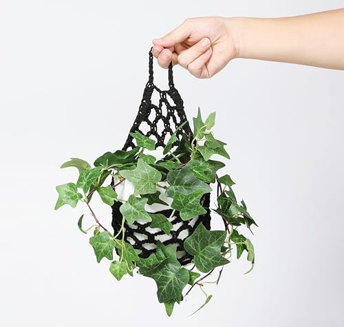2PK Wall Planters for Indoor Plants (2 Count)