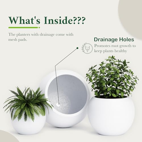Premium Mt Sherman Fiberstone Sphere Planter for Indoor Outdoor Use