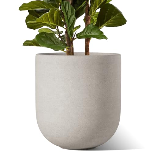 12 Inch Pots for Plants