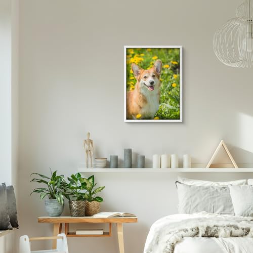 Custom Framed Poster Prints with Your Any Photos