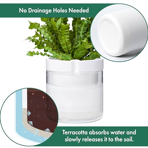 8 Inch Self Watering Planter