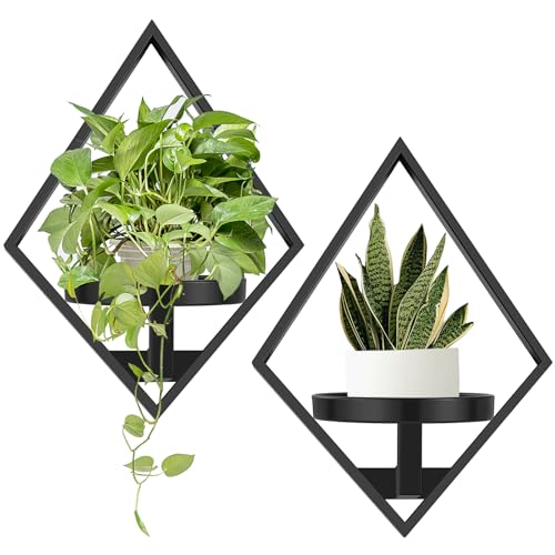Wall Plant Holder