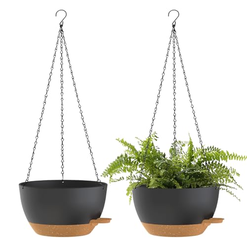 10 Inch Hanging Baskets 2 PC with Chains (2 Count)