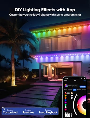 Permanent Outdoor Lights Pro