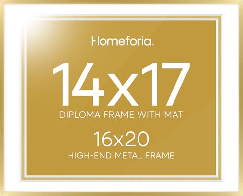 16x20 Gold Diploma Frame (3 Count)