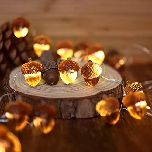 Thanksgiving Acorn Lights Fall Garland Decorative Fairy String Light Cute Novelty Lights 30 LEDs 10 ft USB or Battery Operated for Bedroom Wedding Xmas Harvest Decor (10 Foot)