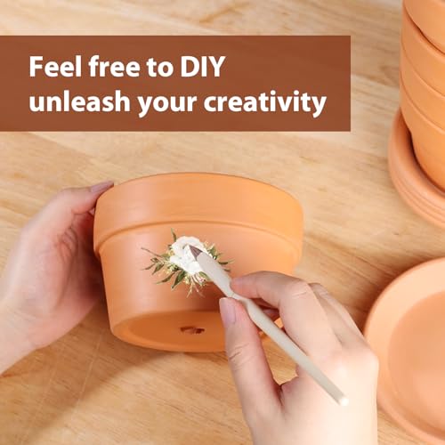 5 Inch Terracotta Shallow Pots Set with Saucer (6 Count)