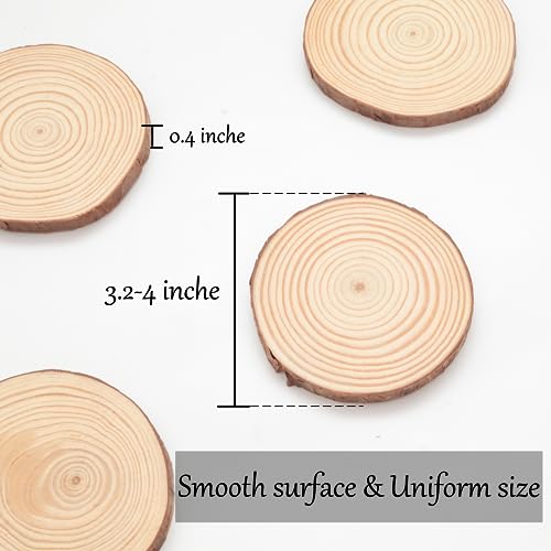 Unfinished Natural Wood Slices (50 Count)