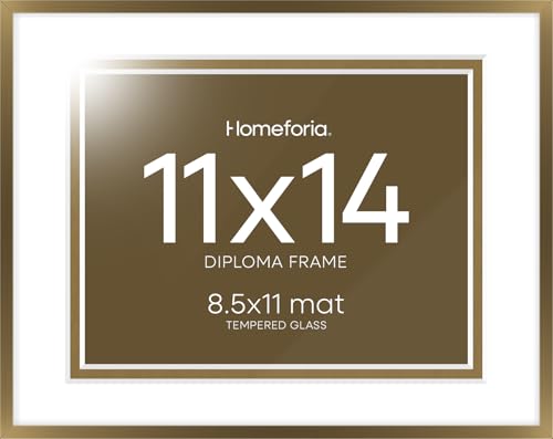 11x14 Bronze Diploma Frame