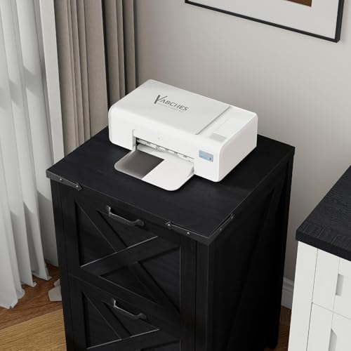 Vertical File Cabinet with 2 Drawers