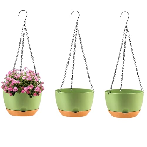 Hanging Planters (3 Count)