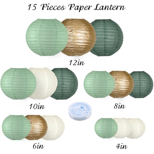Paper Lanterns Party Decorations (15 Count)