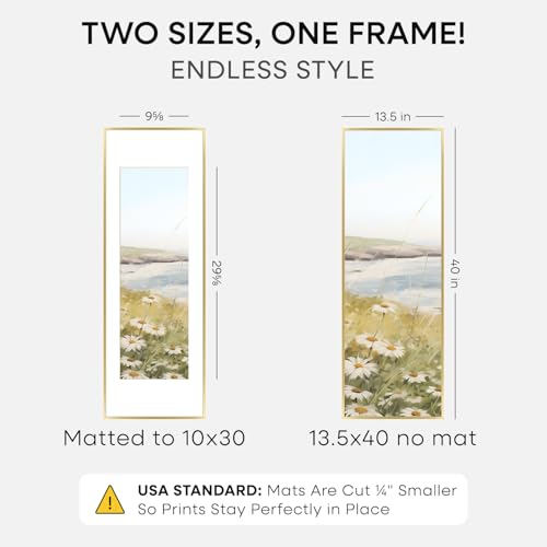 13.5x40 Gold Picture Frame (2 Count)
