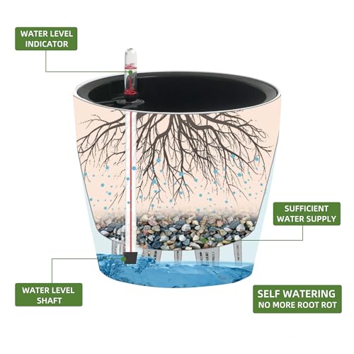 9x8 Self Watering Planter