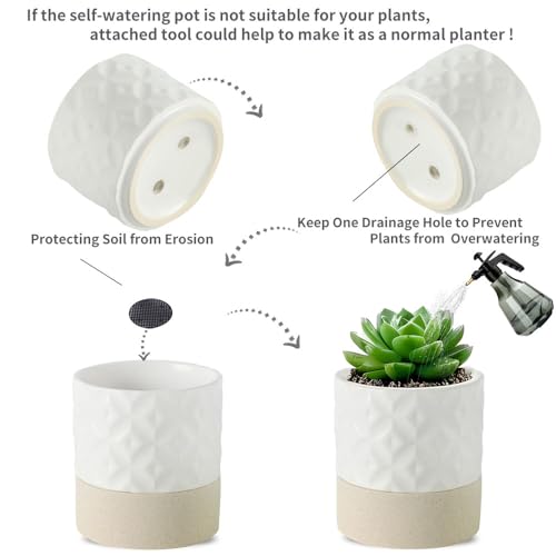 Self Watering Plant Pot for Indoor Plants