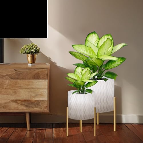 Plants Pots with Stand (2 Count)