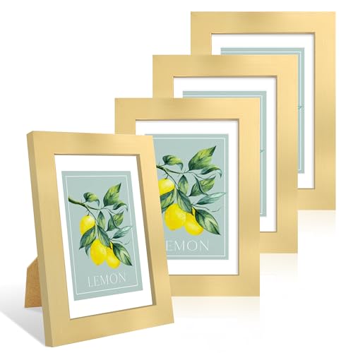 4x6 Picture Frame Set of 4