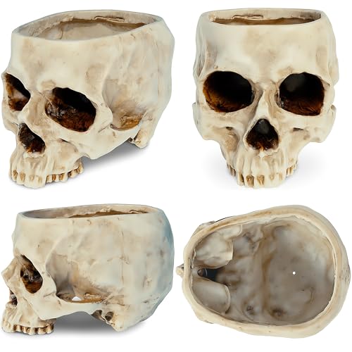 Skull Planter with Drain Hole