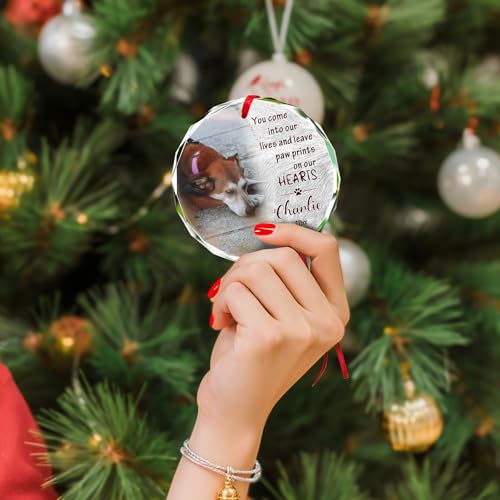 Personalized Memorial Pet Glass Ornament