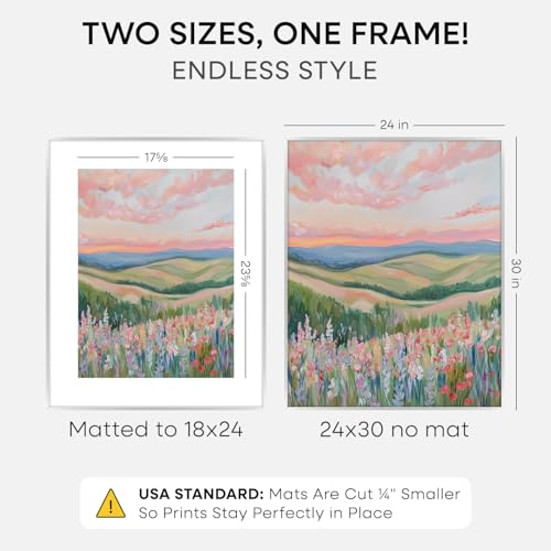 24x30 Silver Picture Frame (2 Count)