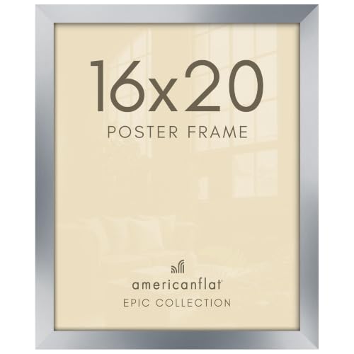 16x20 Poster Frame