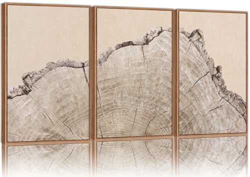 Large Tree Ring Framed Canvas Wall Art Set (3 Count)