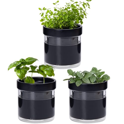 4 Inch Self Watering Planter Pot (3 Count)