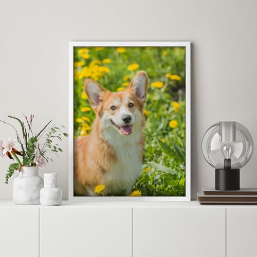 Custom Framed Poster Prints with Your Any Photos