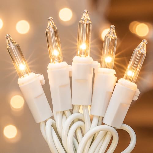 Clear Christmas Lights (13 Foot)