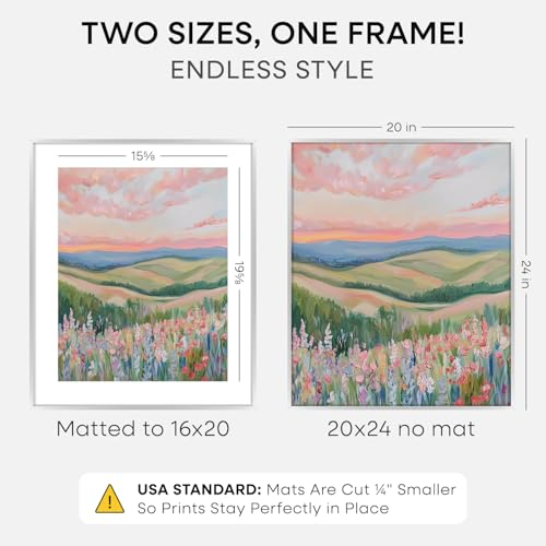 20x24 Silver Picture Frame (2 Count)