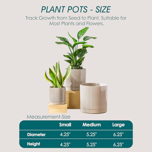 Ceramic Planters (3 Count)