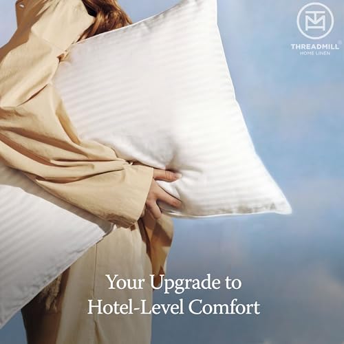 300 Thread Count Cotton King Pillow (2 Count)