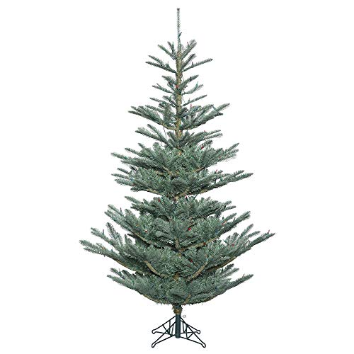 G160475 Alberta Blue Spruce Christmas Tree
