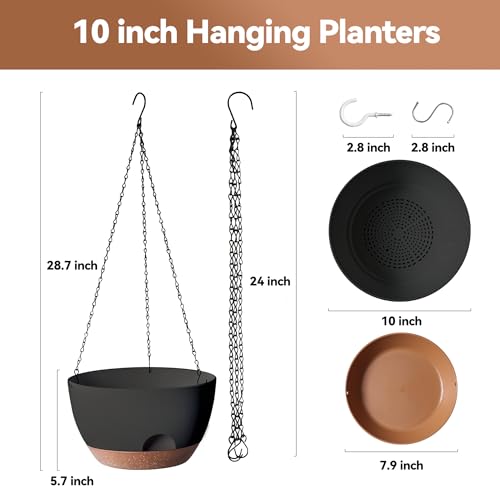 Hanging Planter for Indoor Plants (2 Count)