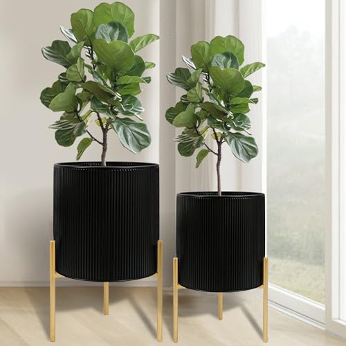 Modern Plant Pots (2 Count)