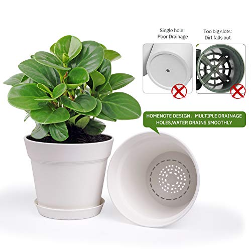 6 Inch Plastic Plant Pots with Drainage Holes and Trays (15 Count)