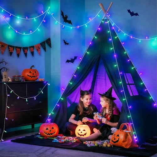 Connectable Purple and Green Halloween Lights Plug (33 Foot)