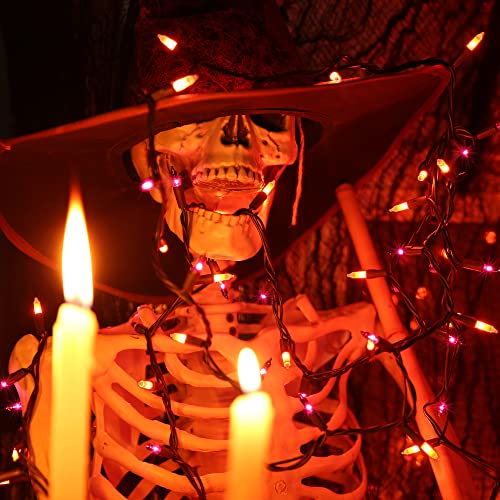 Orange & Purple Halloween String Lights