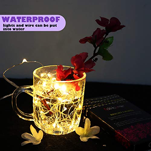 6 Pack Fairy Lights Battery Operated With Timer (39 Foot)