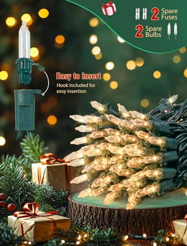 Clear Christmas Lights (13 Foot)