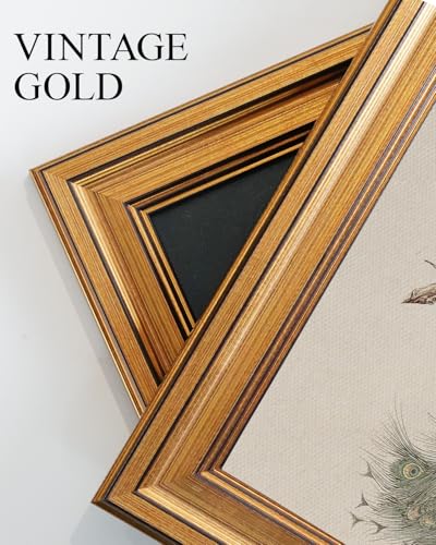 Vintage Gold Framed Wall Art