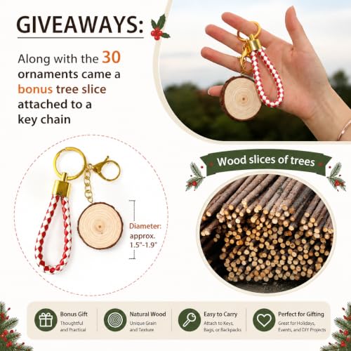 Wood Slices 3.5 (30 Count)