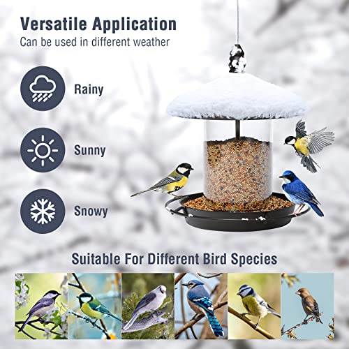Metal Roof Bird Feeder