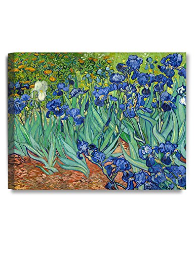 Van Gogh Canvas Wall Art