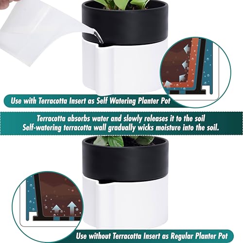 8 Inch Self Watering Planter Pot with Terracotta Insert